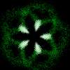 flower.gif